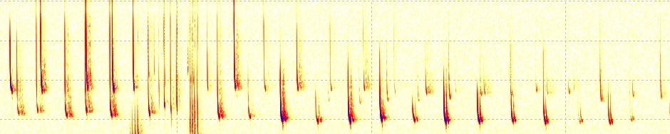 Swedish Bat Spectrograms