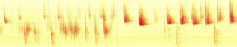 Swedish Bat Spectrograms